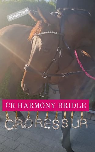 Customer photo review of Harmony Bridle - gebisslose Trense