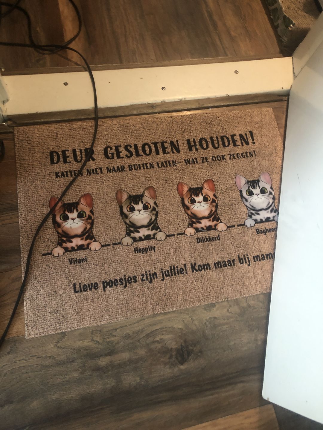 Customer photo review of Welkom bij nieuwsgierige katten - Gepersonaliseerde deurmat