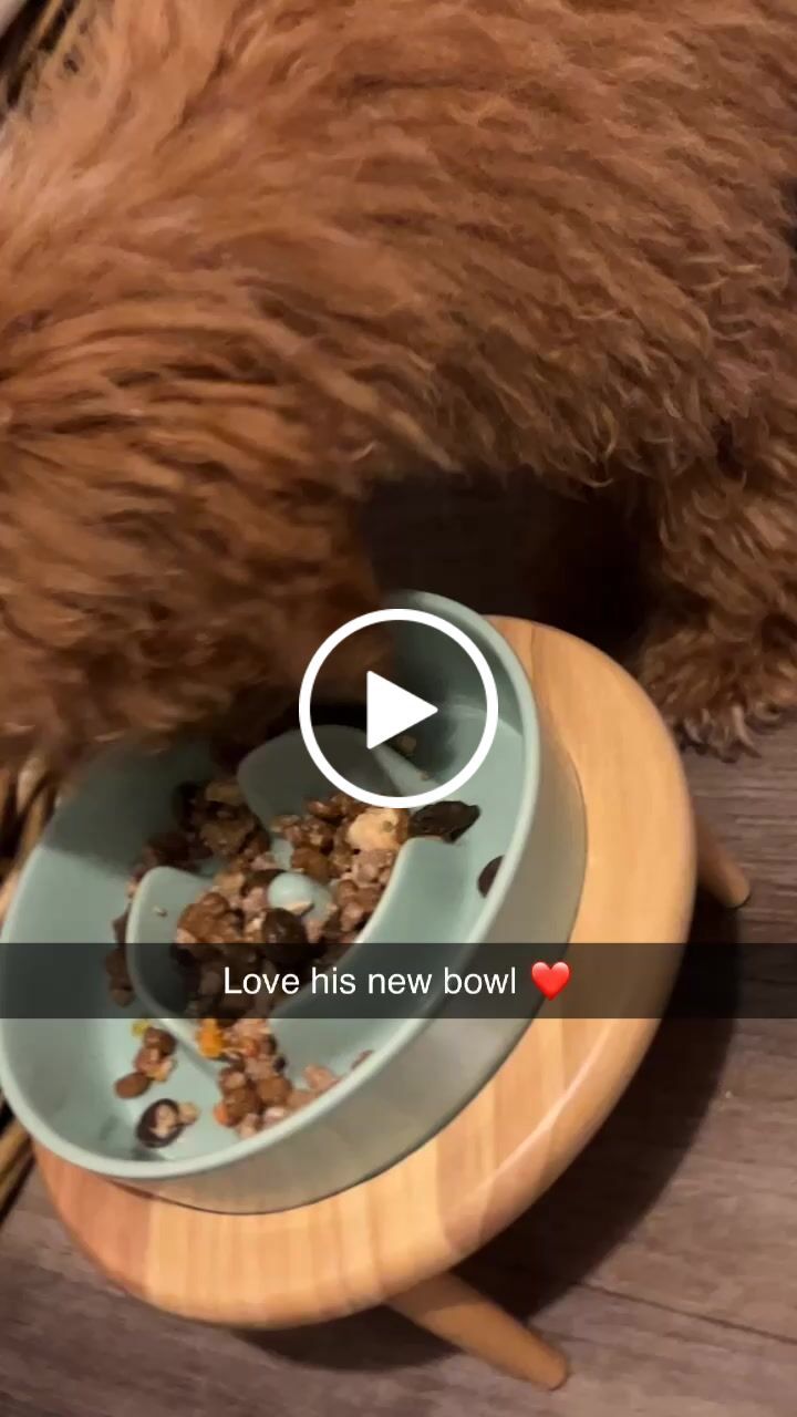 Customer video review of Ceramic Slow Feeder Pet Bowl for Dogs and Cats