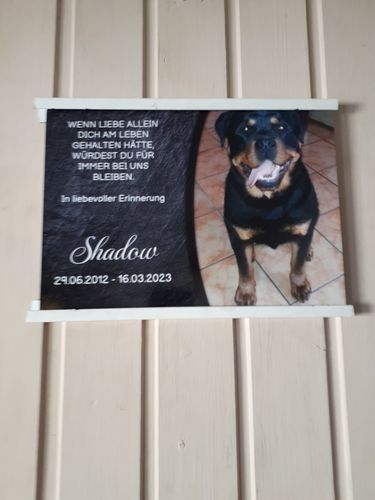 Customer photo review of Hunde Gedenktafel mit Foto & Spruch (UV- UND WETTERFEST)