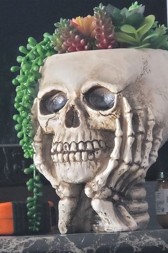 Customer photo review of Just Love Skulls Planter Flower Pot with Skeleton Hands