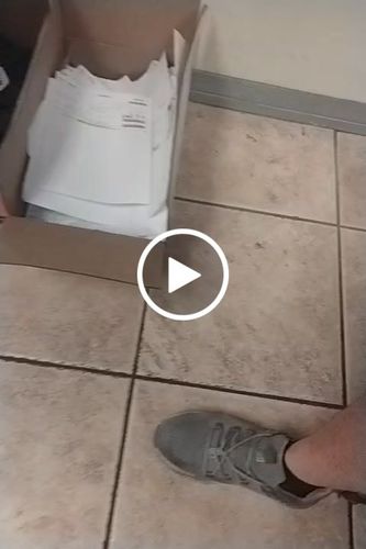 Customer video review of Maven Lightweight Steel Toe Work Sneakers