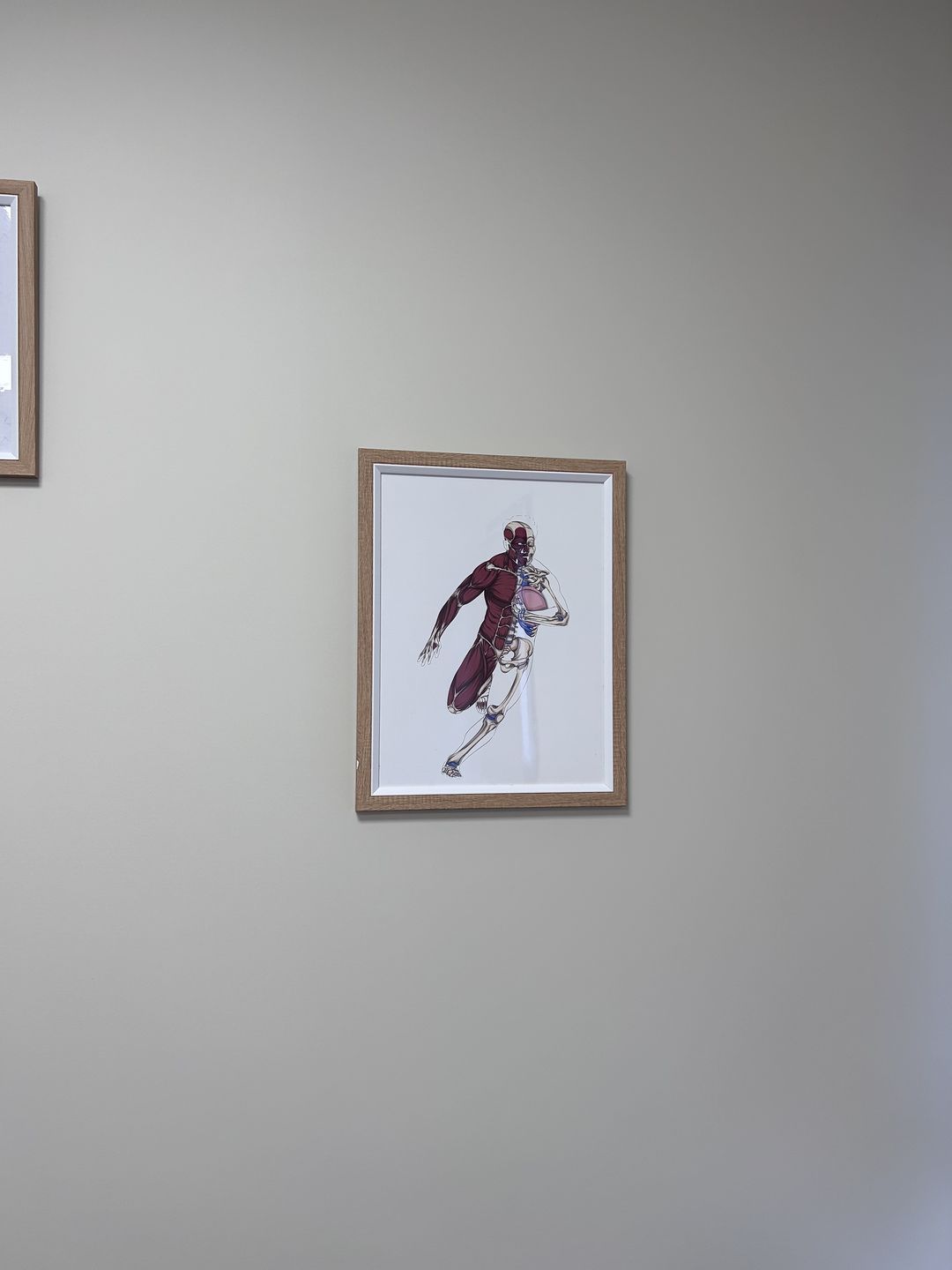 Customer photo review of Planche anatomique du Rugby