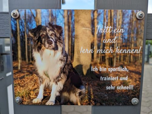 Customer photo review of Hunde-Türschild mit Foto & Wunschtext