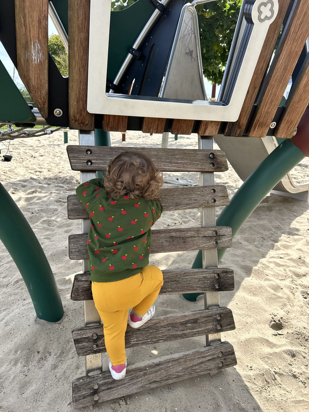 Customer photo review of Red Apples Long Sleeve Raglan Sweatshirt