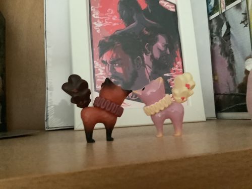 Customer photo review of Puppet Kingdom Little Foxes Series Blind Bag