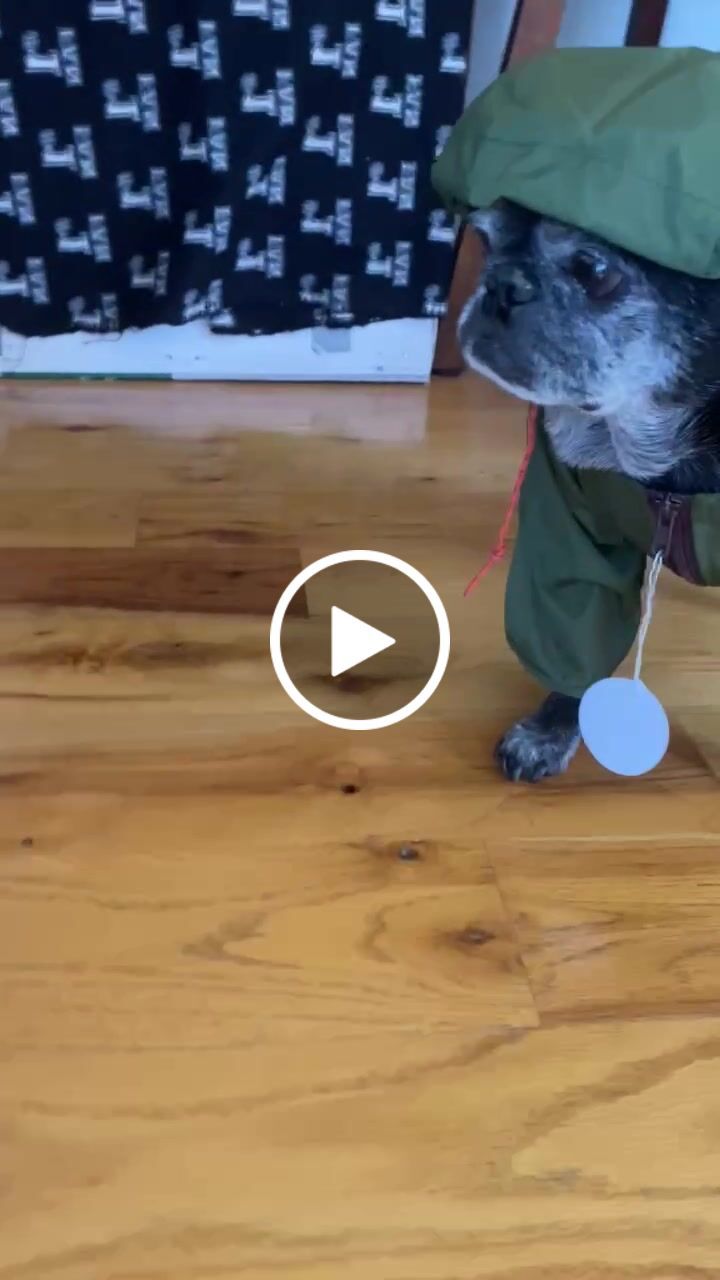 Customer video review of Nylon Rainbreaker