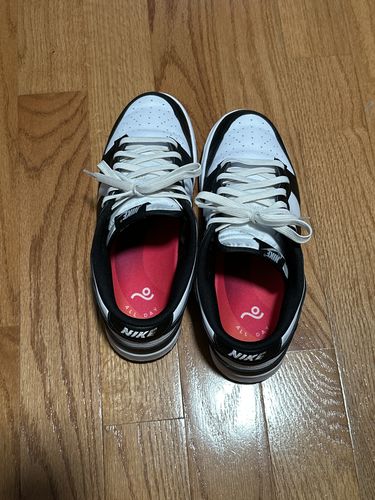 Customer photo review of All Day Insoles