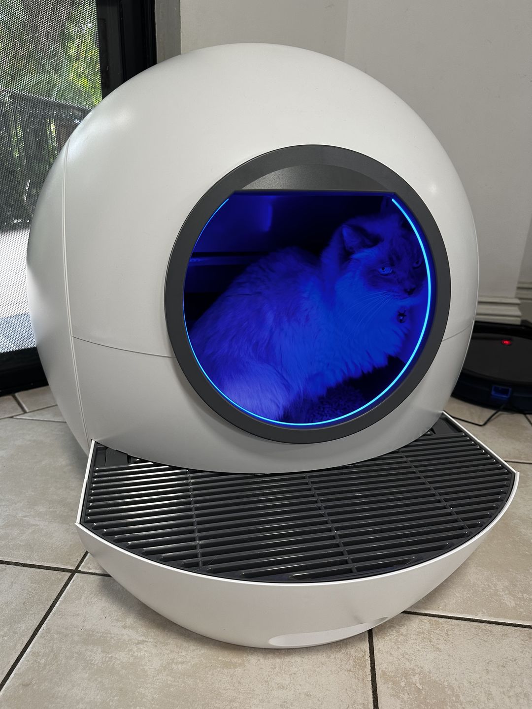 Customer photo review of PaWz Automatic Smart Cat Litter Box