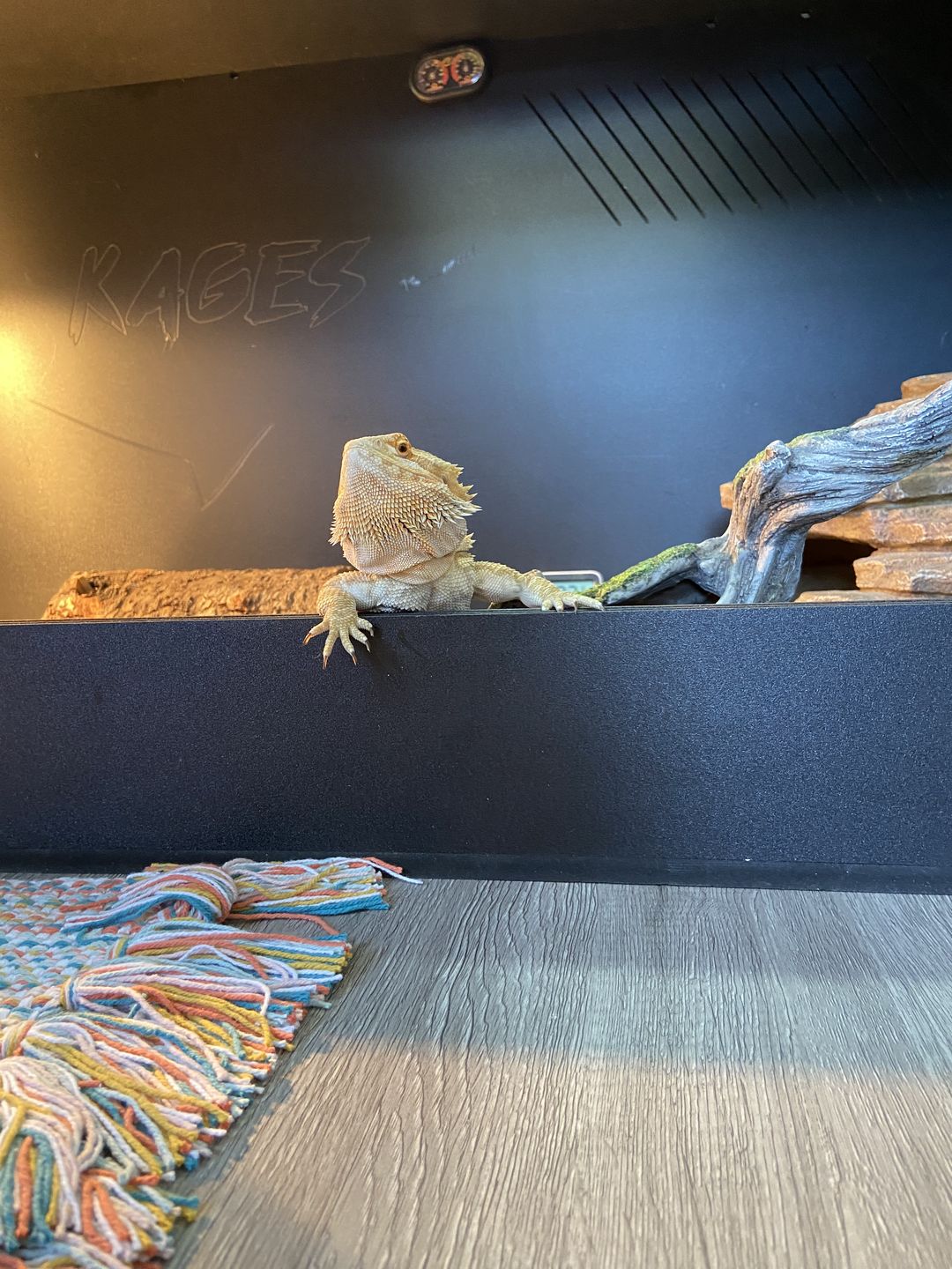 Customer photo review of 60"x24"x24" / 5'x2'x2' Premium PVC Reptile Enclosure