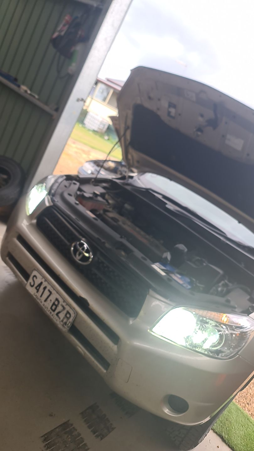Customer photo review of White LED Headlight Globes