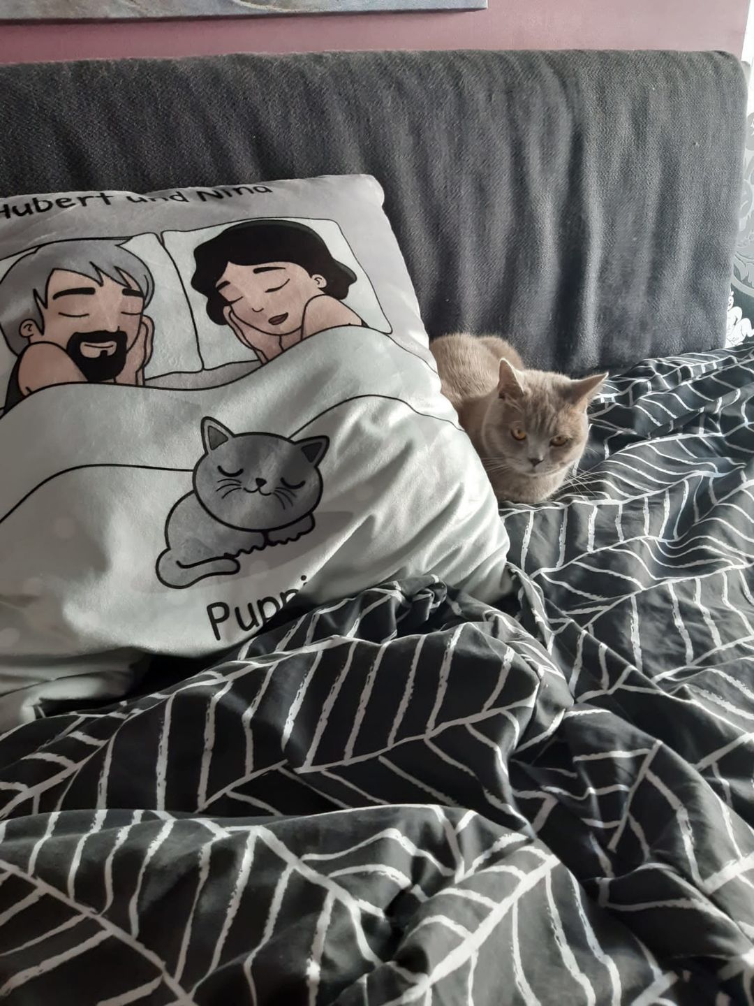 Customer photo review of Kuschelzeit mit Fellnasen - Individuelles Kissen