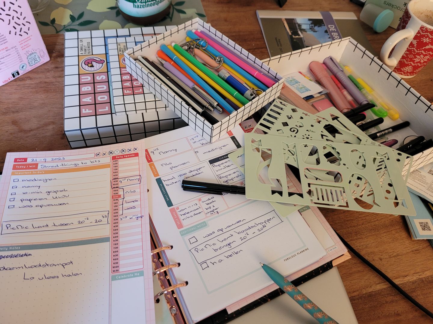 Customer photo review of Astronomy Organiser - Undated Daily Diary P3