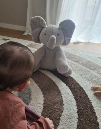 Customer photo review of Peek-A-Boo Elephant
