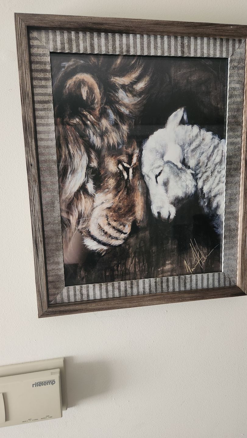 Customer photo review of Compassion of a King