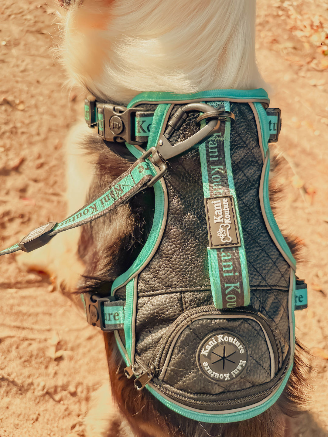 Customer photo review of Tiffany Twilight - Adventure Leather Harness