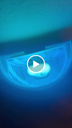 Customer video review of Shieldeck® BuzzTrap - Smart Indoor Insect UV Trap.