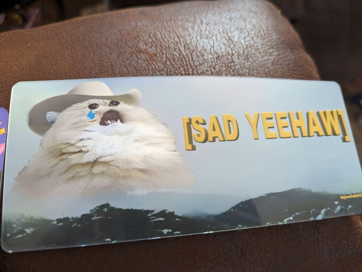 Customer photo review of Sad Yeehaw