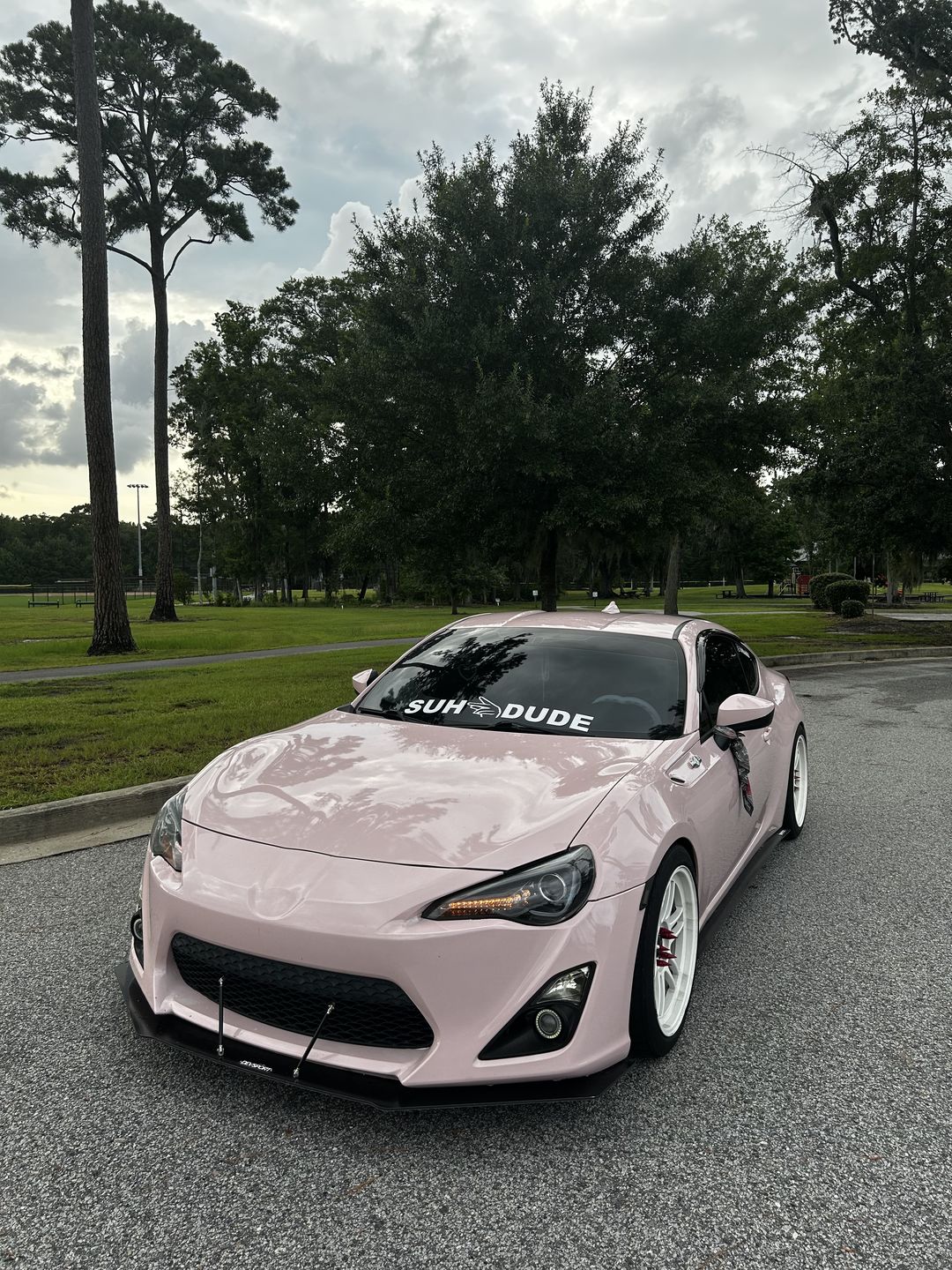 Customer photo review of High Glossy Piggy Pink Vinyl Wrap