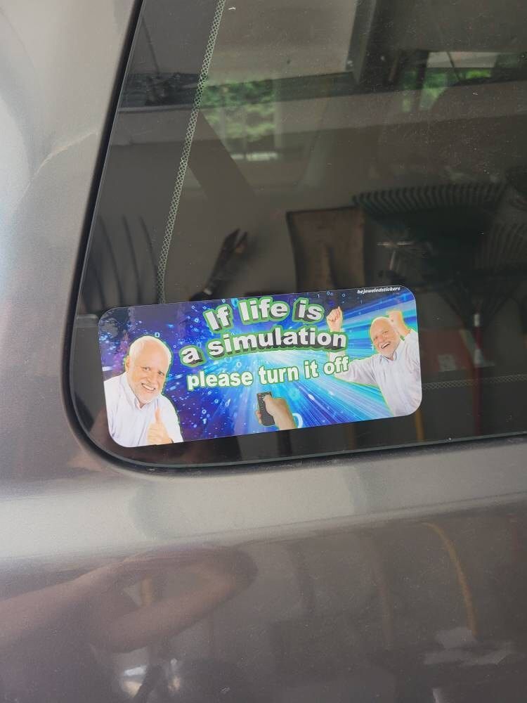 Customer photo review of If Life Is A Simulation, Please Turn It Off