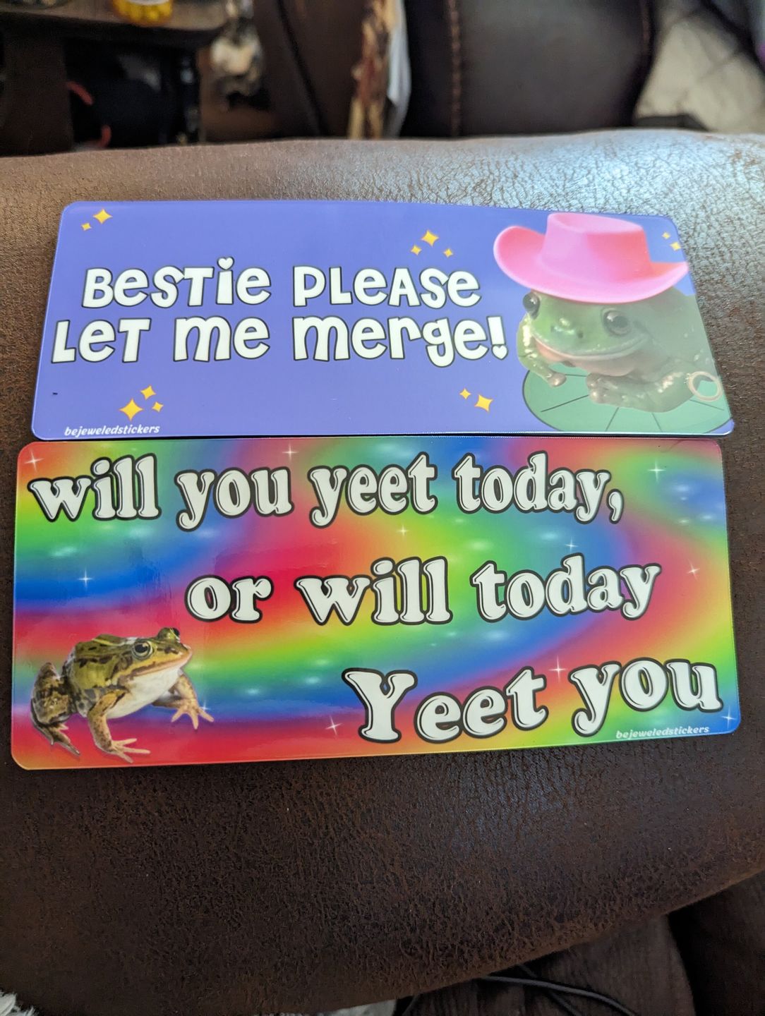 Customer photo review of Will You Yeet Today, Or Will Today Yeet You?