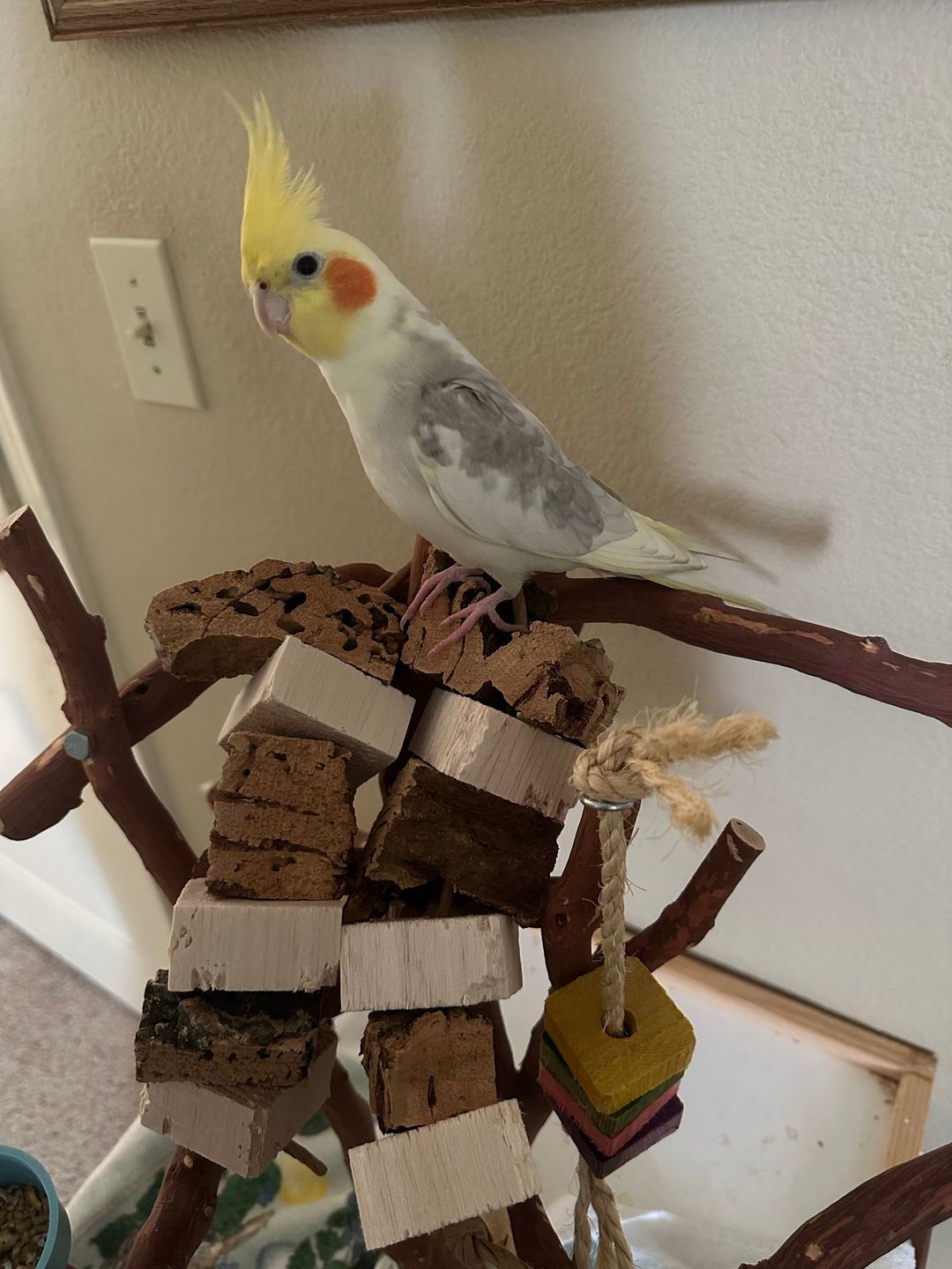 Customer photo review of Balsa & Cork Double Stack by Cheep Thrills Bird Toys