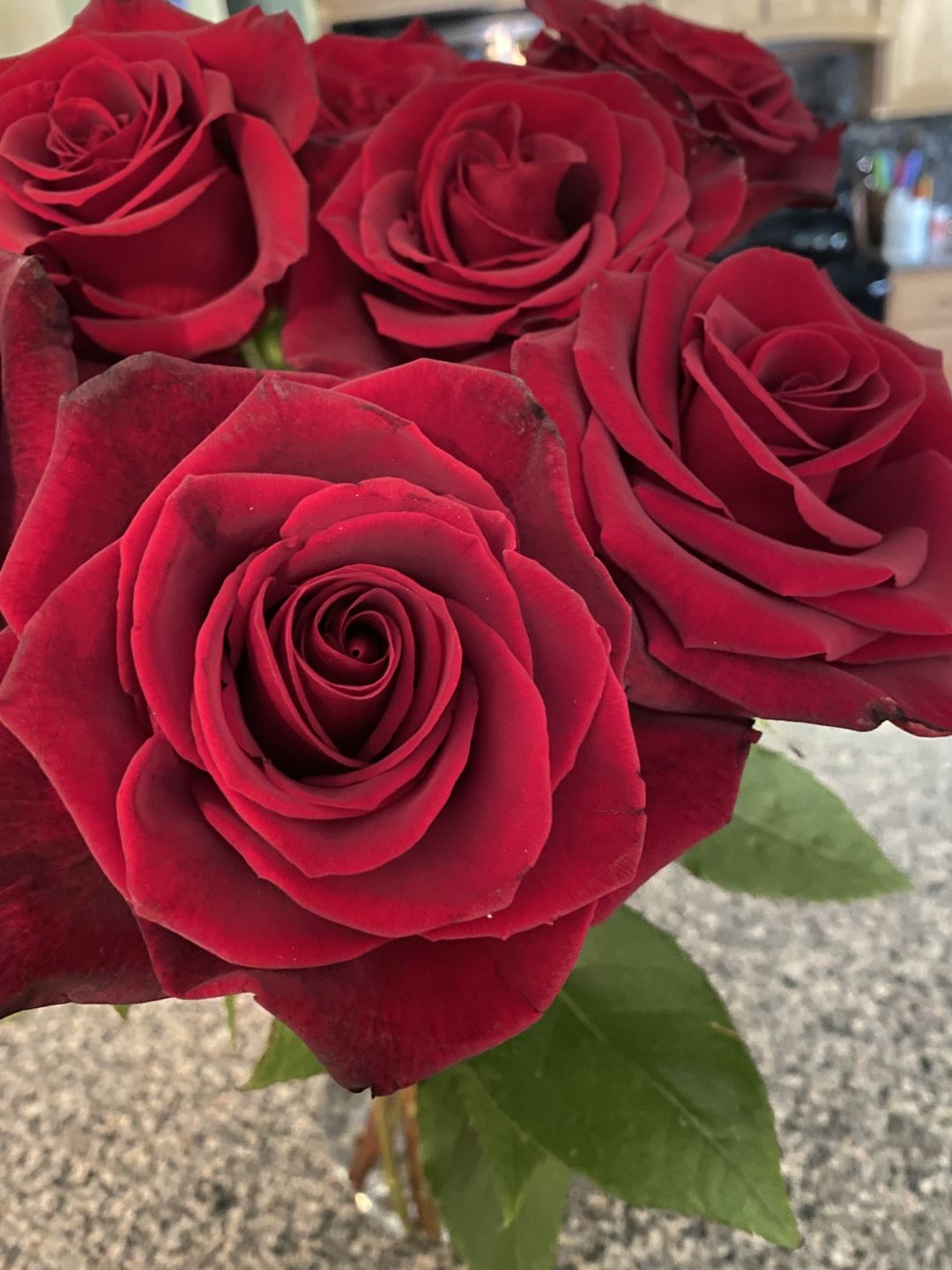 Customer photo review of Black Baccara Red Rose