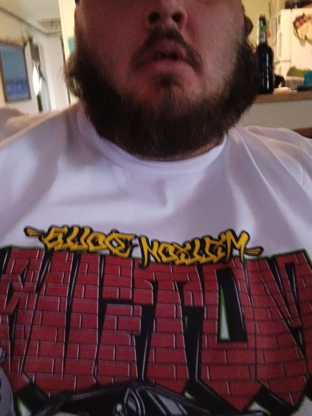 Customer photo review of Mystery Box of 12 T-Shirts