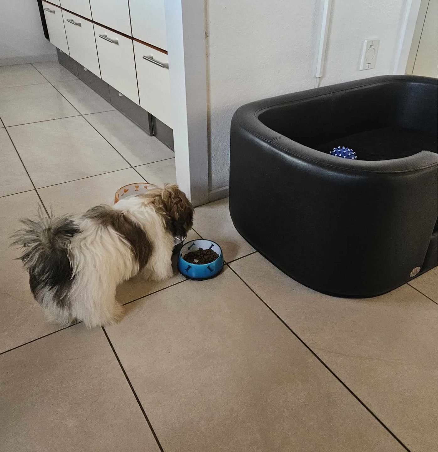 Customer photo review of Dr.Clauder's Sensitive Adult All Breed Lam & Ris 12,5kg