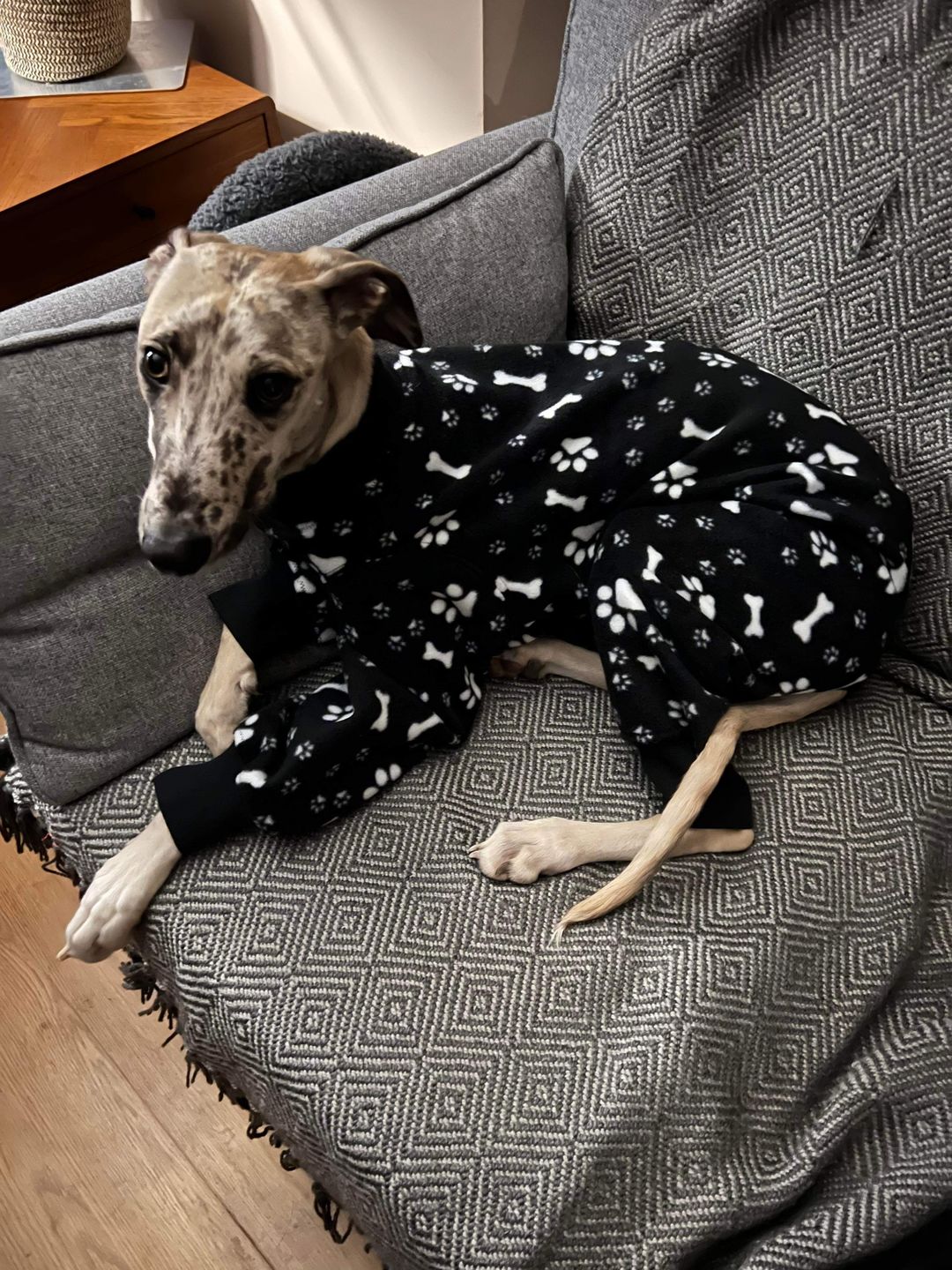 Customer photo review of Paw Print & Bones Anti Pill Polar Fleece Fabric