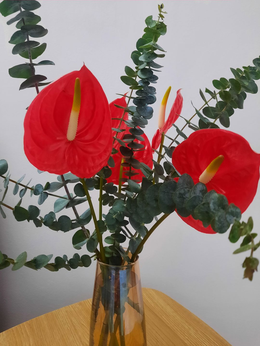 Customer photo review of Anthuriums