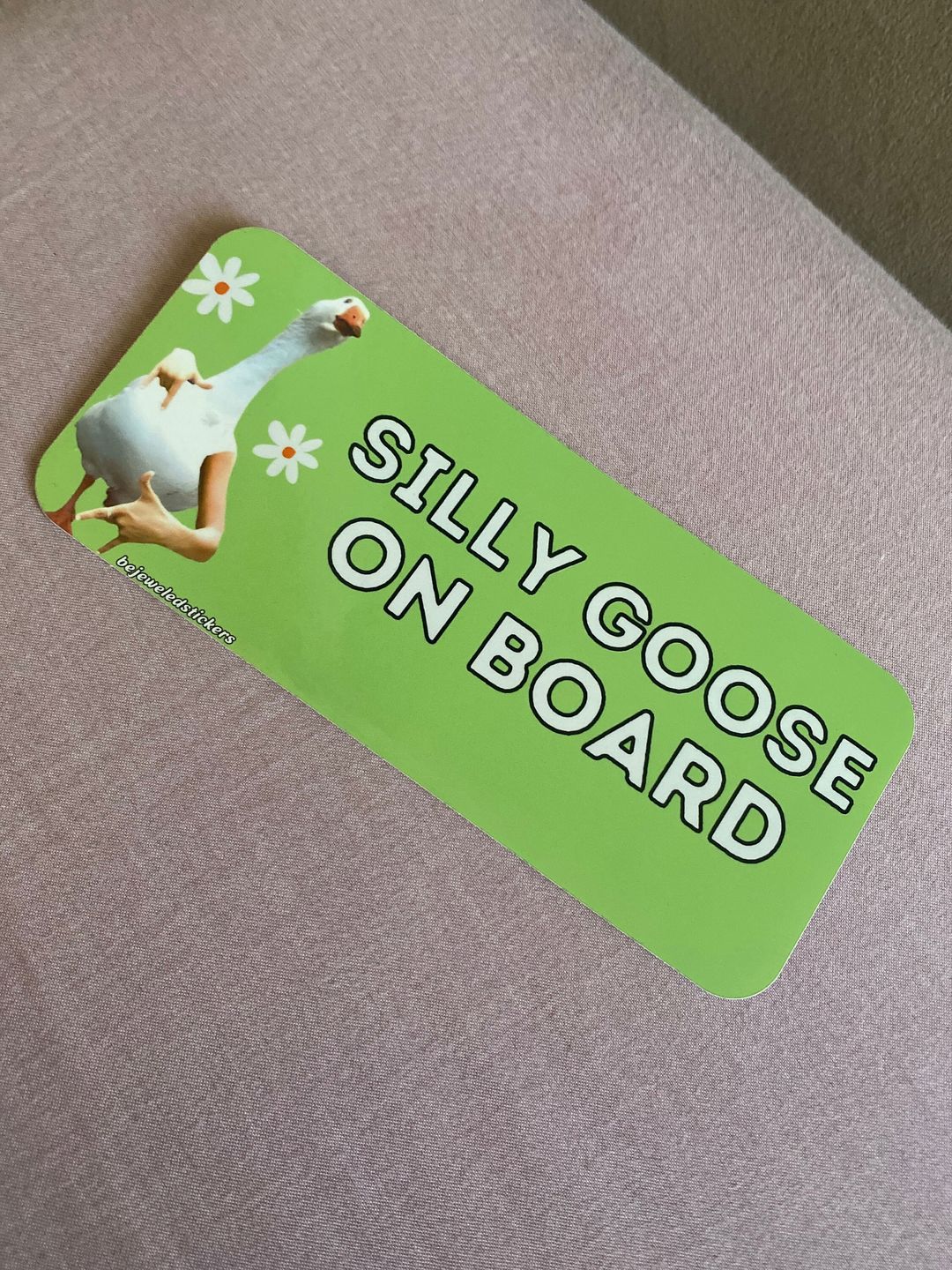 Customer photo review of Silly Goose On Board