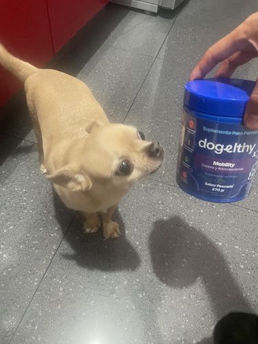 Customer photo review of Mobility. Suplemento Auxiliar en Articulaciones y Huesos Sabor Pescado de 270g