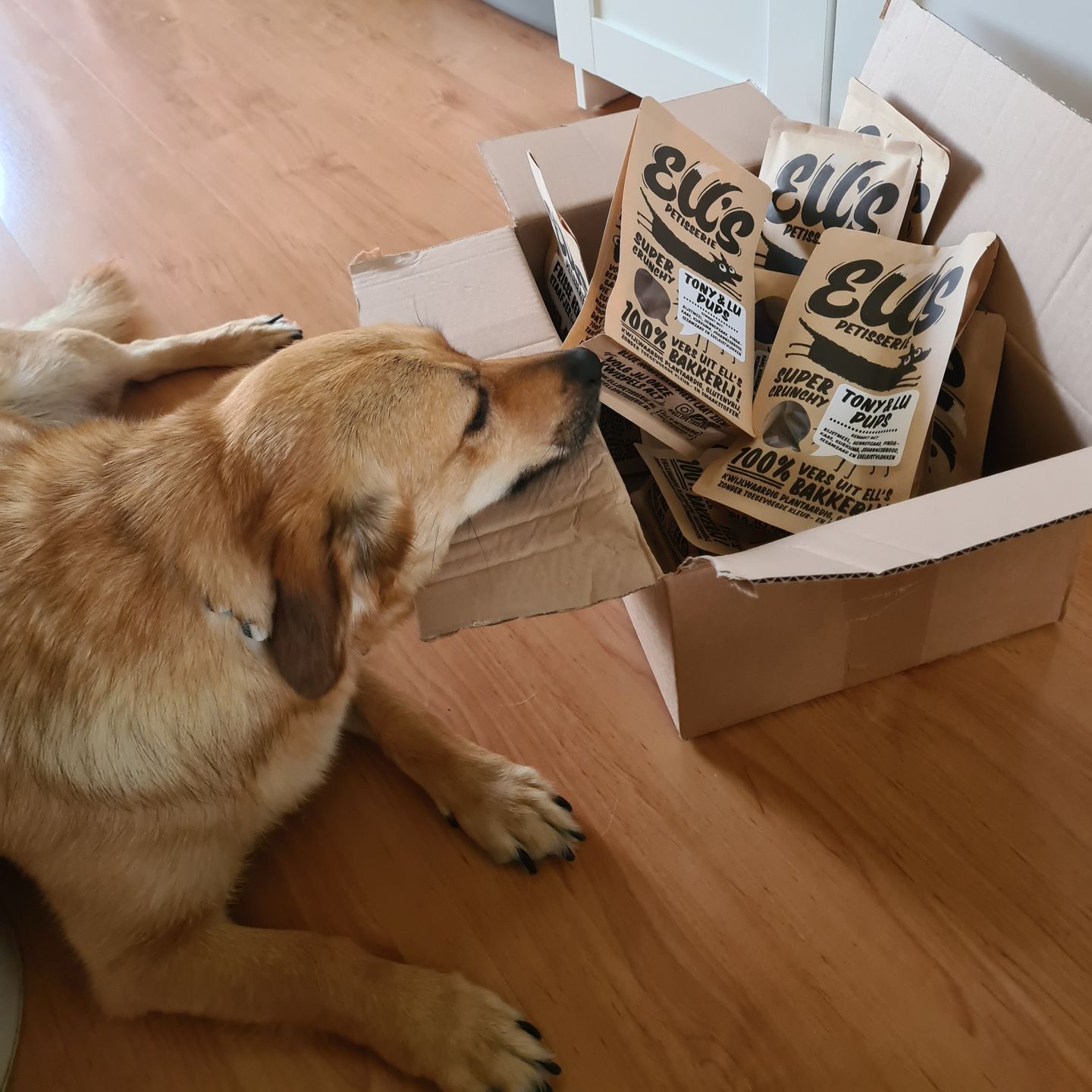 Customer photo review of Tony en Lu Pups | Kleine hondensnacks