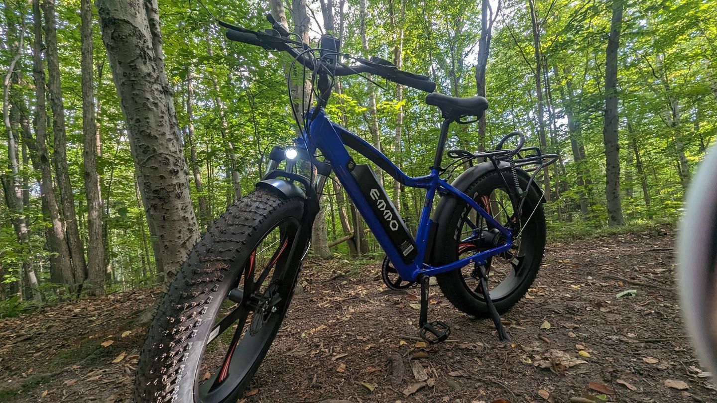 Customer photo review of E-Wild Pro