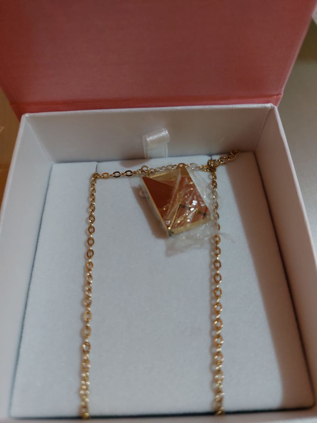 Customer photo review of Collar Mensaje Personalizado