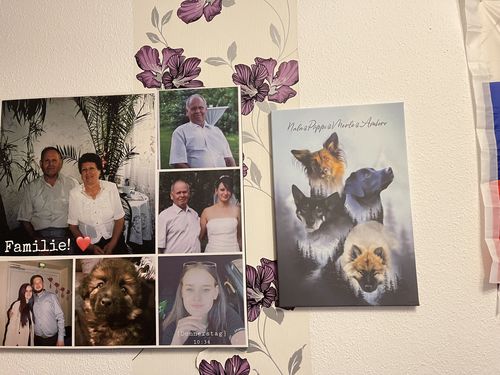 Customer photo review of Natur Pawtrait