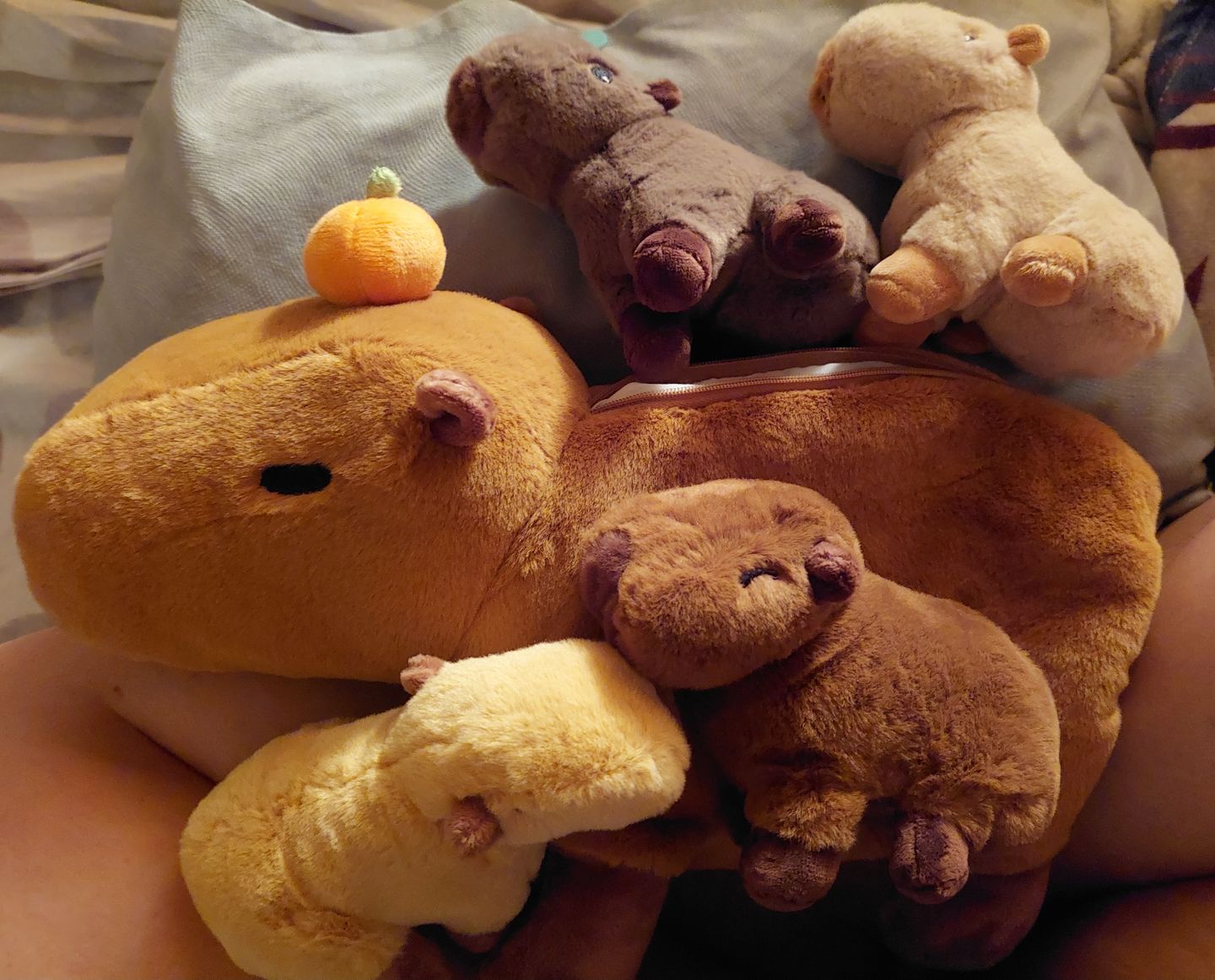Customer photo review of Le Premier Ensemble de Jeu en Peluche de Famille Capybara pour Bébé
