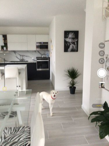 Customer photo review of Ritratto d'Argento