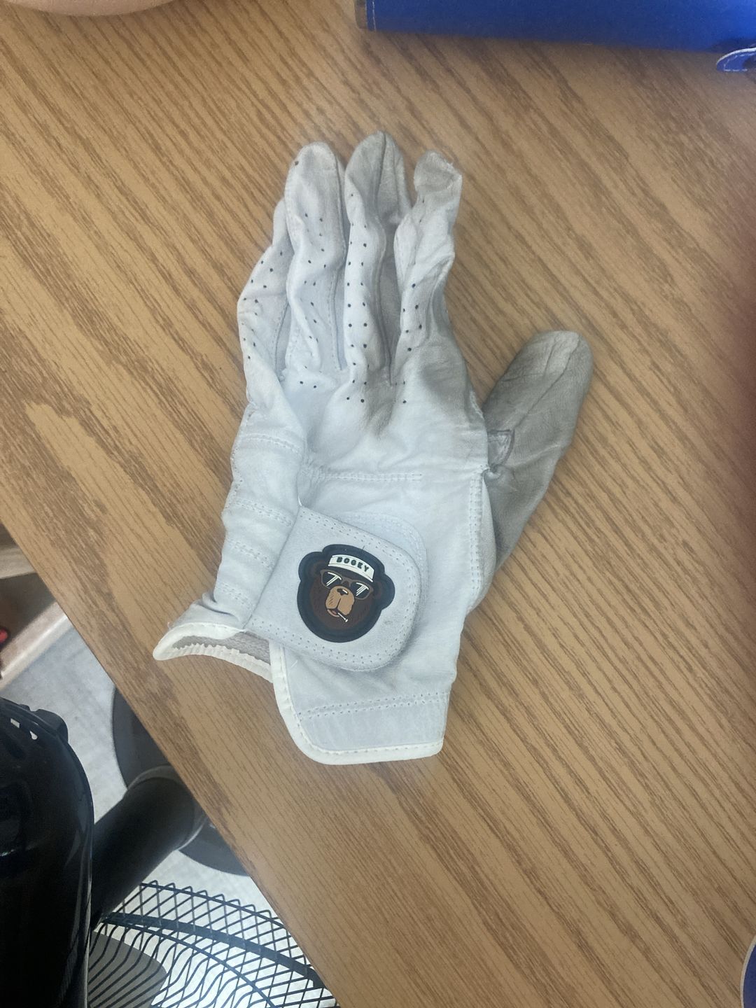 Customer photo review of Bogey the Bear 2.0