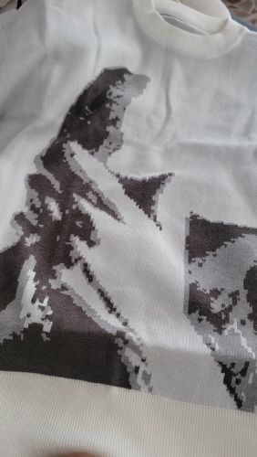 Customer photo review of THE FRANK SWEATER