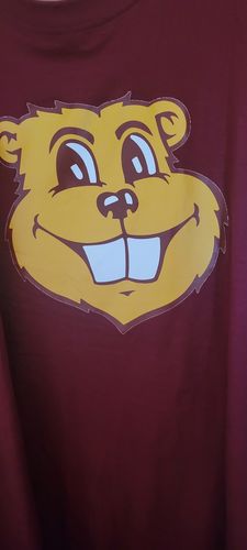 Customer photo review of Custom DTF Transfer 10 x 10