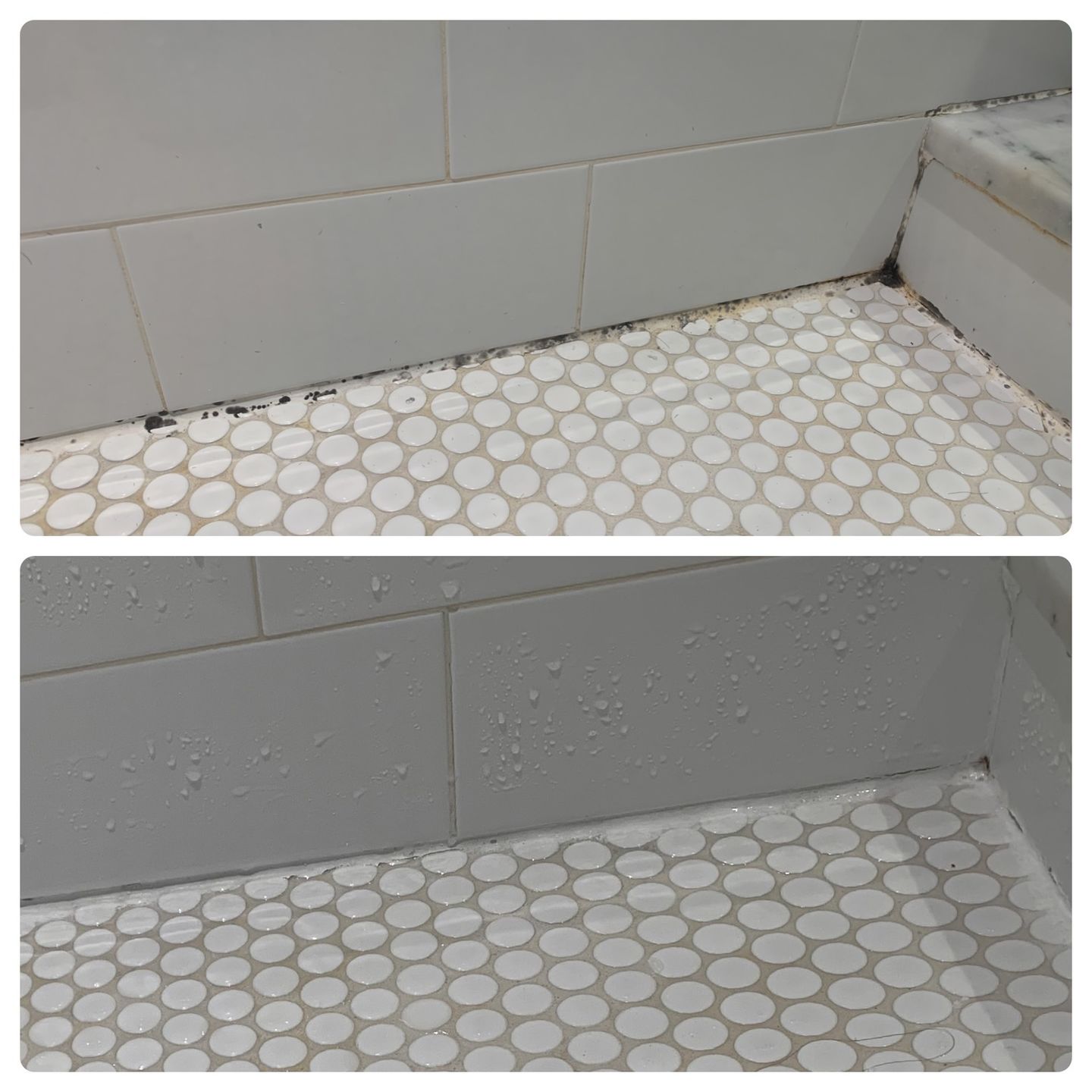 Customer photo review of GLASSGUARD™ Miracle Mold Removal Gel