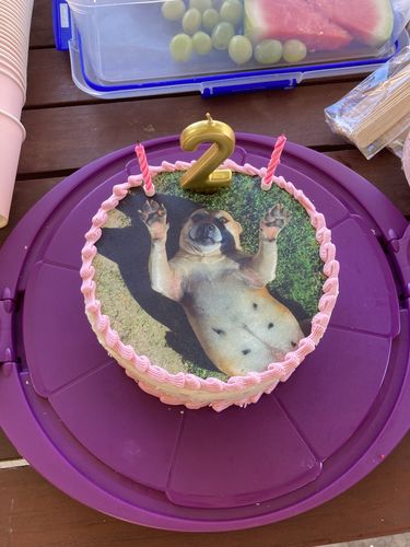 Customer photo review of 20 cm Pre-cut Circle Custom Edible Icing Image