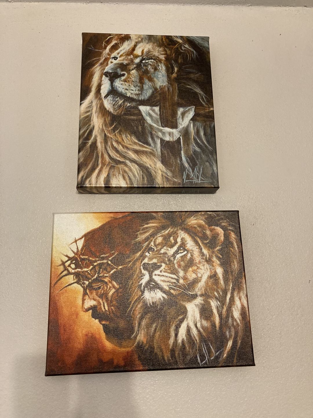 Customer photo review of Eternal Reign
