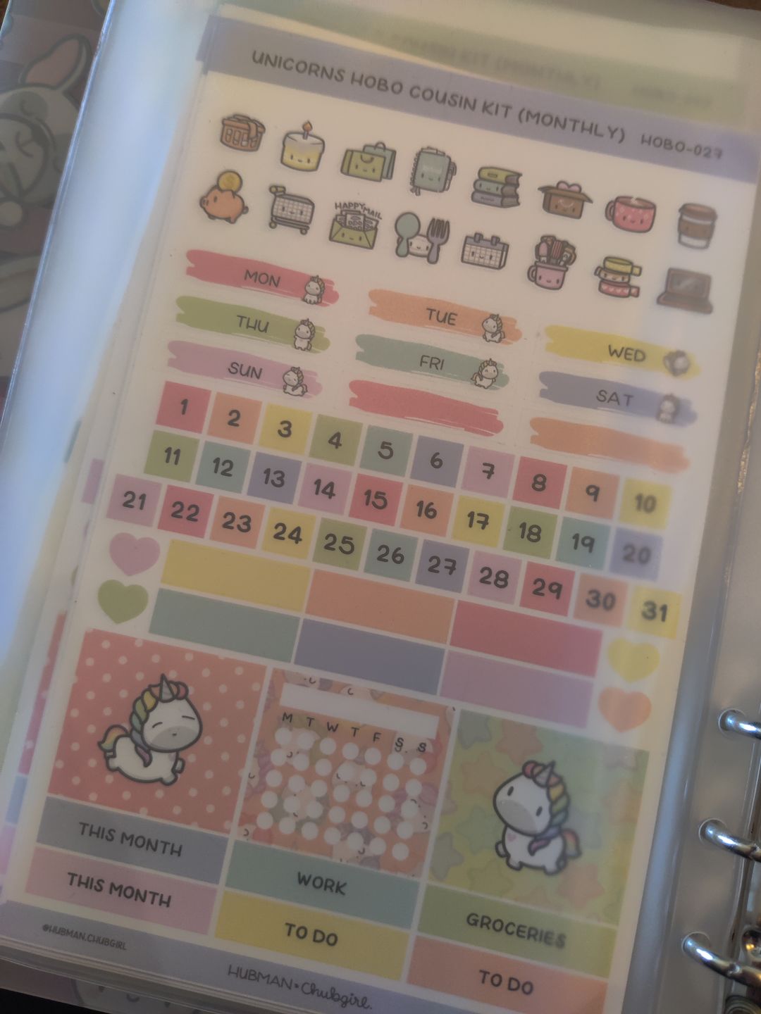 Customer photo review of Rainbow Unicorns Theme Hobonichi Cousin Monthly Kit
