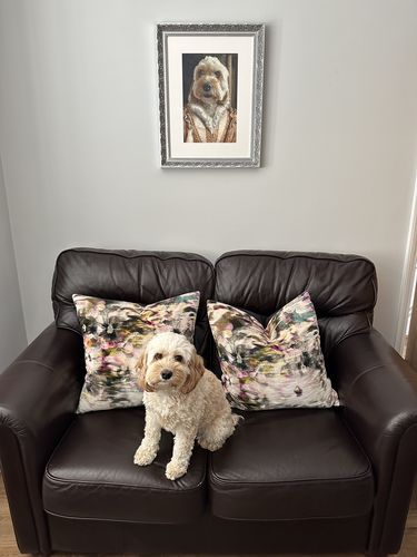 Customer photo review of The Princess - Custom Vintage Pet Portrait