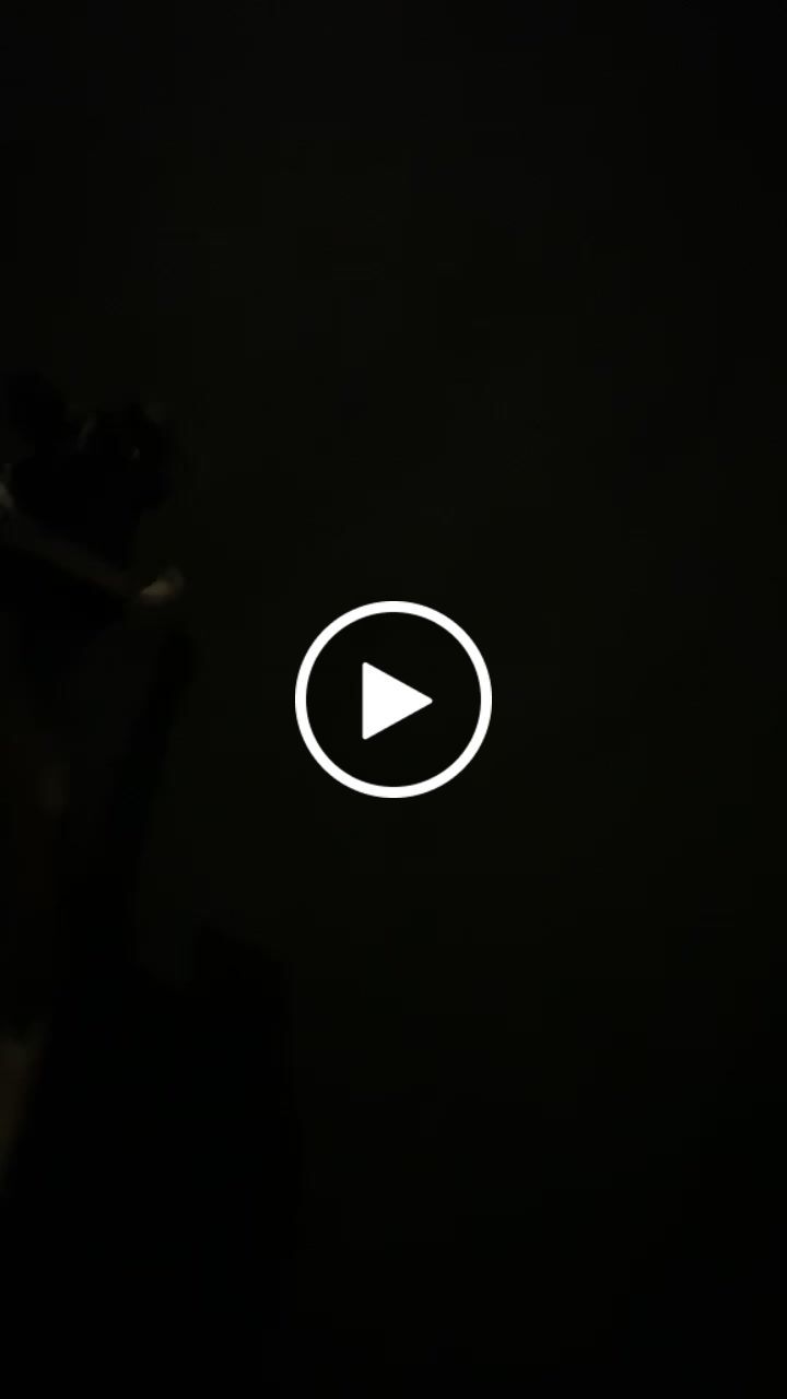 Customer video review of Premium Comfort Harness | Non Restrictive & Adjustable - Light Military Tan