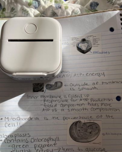 Customer photo review of ThermaPrint™