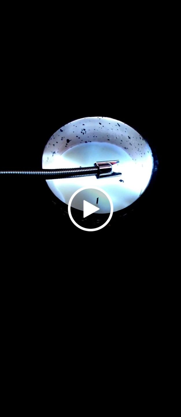 Customer video review of 360 Degree Household Arc Lighter